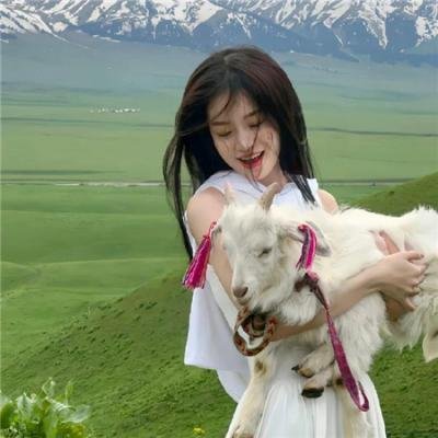神勇飞虎霸王花